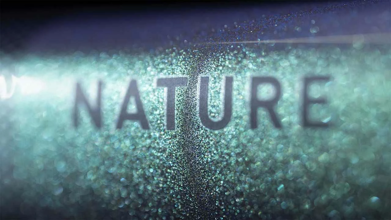 Cube Nature EXC Verde N Black VTC Homme 4 Cube Nature EXC Verde N Black VTC Homme – Image 4