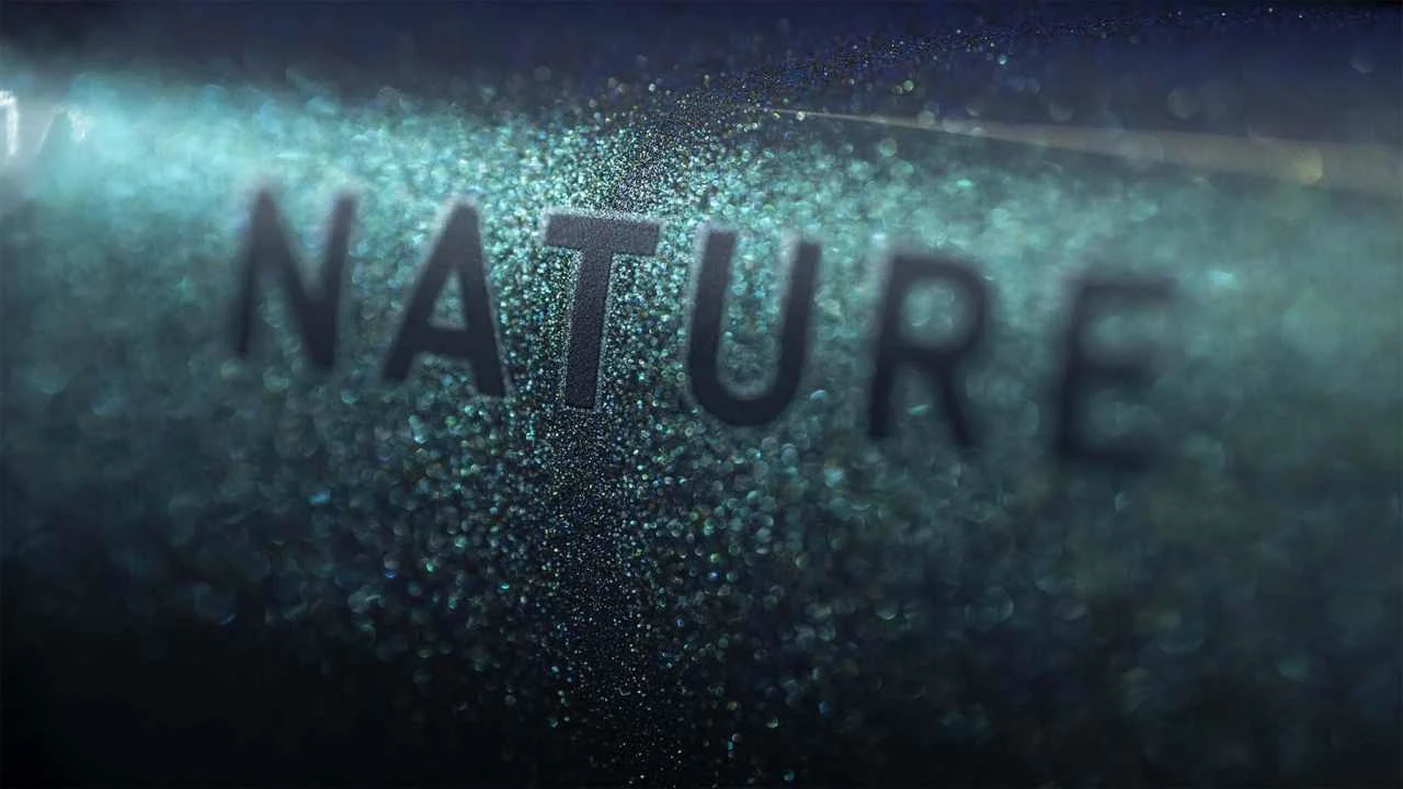 Cube Nature EXC Verde N Black VTC Homme 5 Cube Nature EXC Verde N Black VTC Homme – Image 5