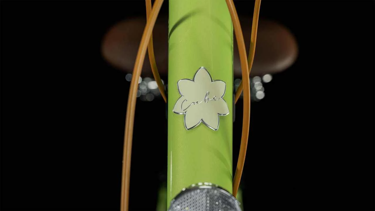 Cube Ella Ride Green N Green Vélo Trekking Col De Cygne 6 Cube Ella Ride Green N Green Vélo Trekking Col De Cygne – Image 6